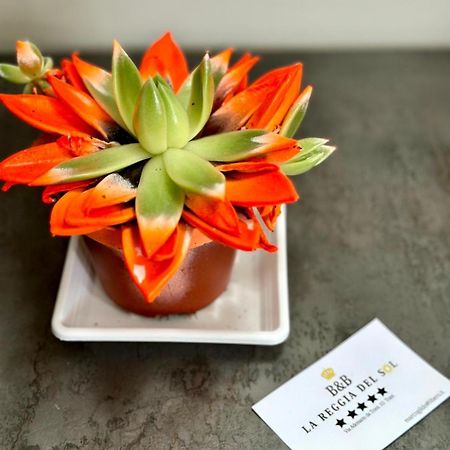 B&B La Reggia Del Sol トラーニ エクステリア 写真